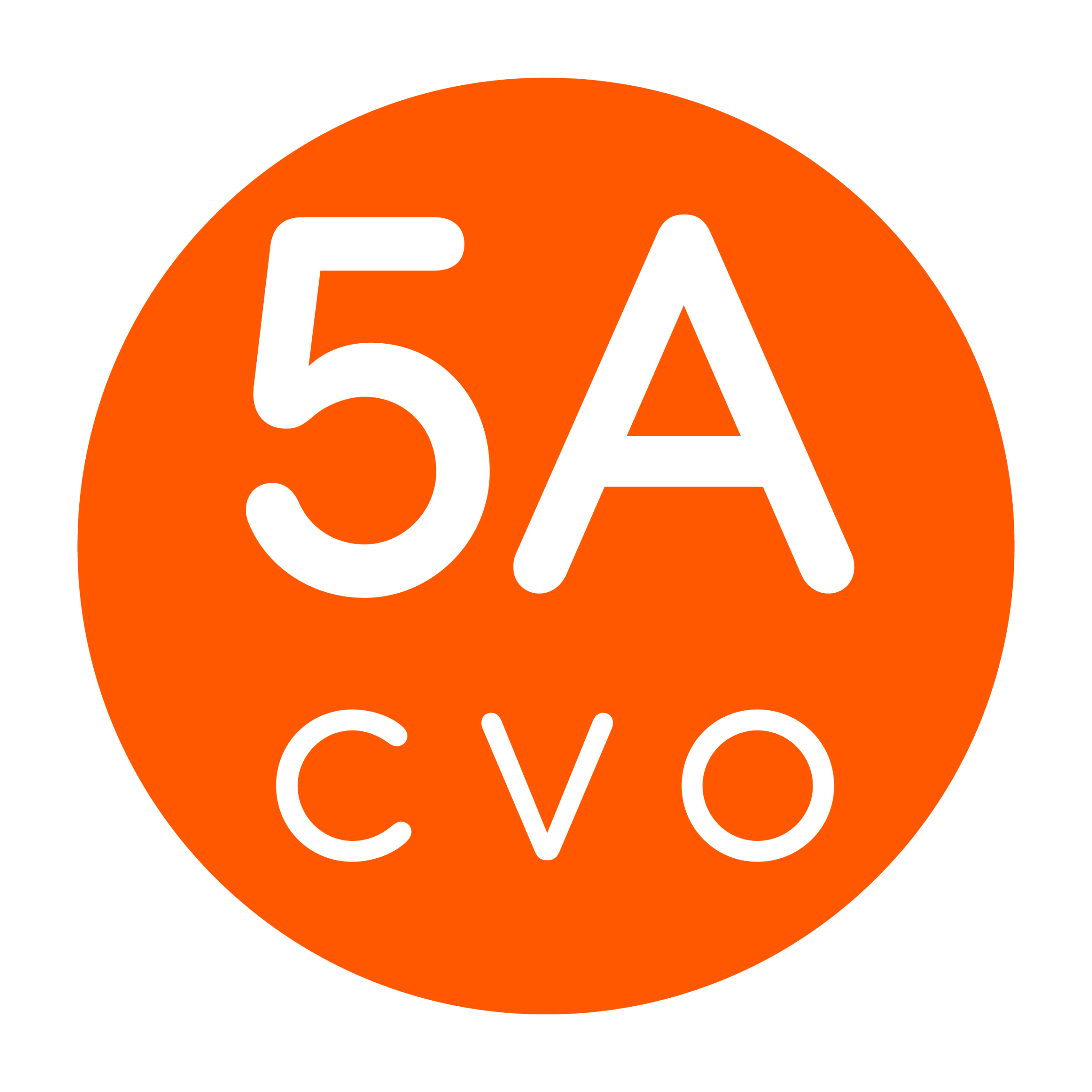 Picture of 5ACVO.com