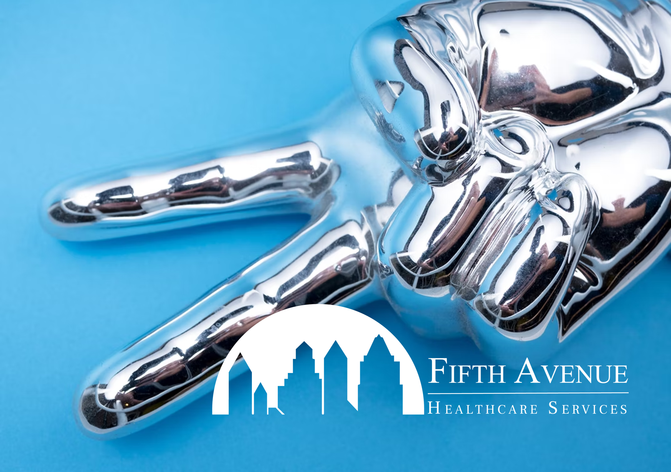 Fifth Avenue Healthcare Services Credentialing Blog Wins Silver Award